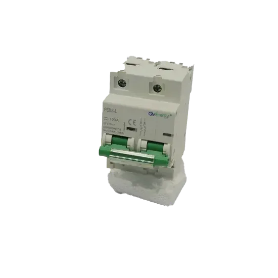 GivEnergy 100 A DC Miniature Circuit Breaker