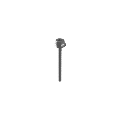 Esdec Mounting Screw M6 x 55mm - Standard Finish